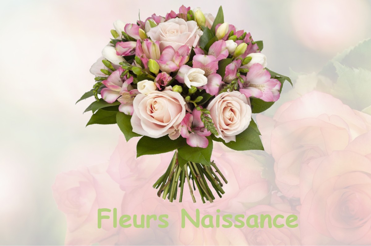 fleurs naissance SOMMERY